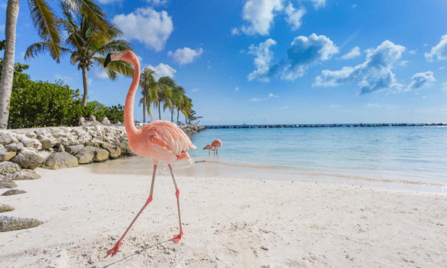 ARUBA